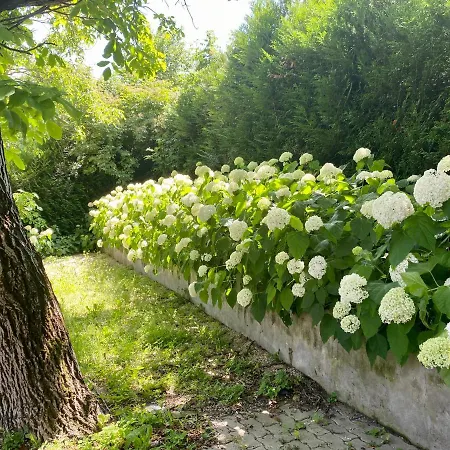 Hortenzias Haz *