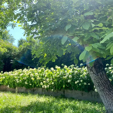 Hortenzias Haz Ferienhaus Nemesvita